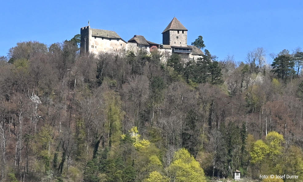 Burg Schloss Hohenklingen SH