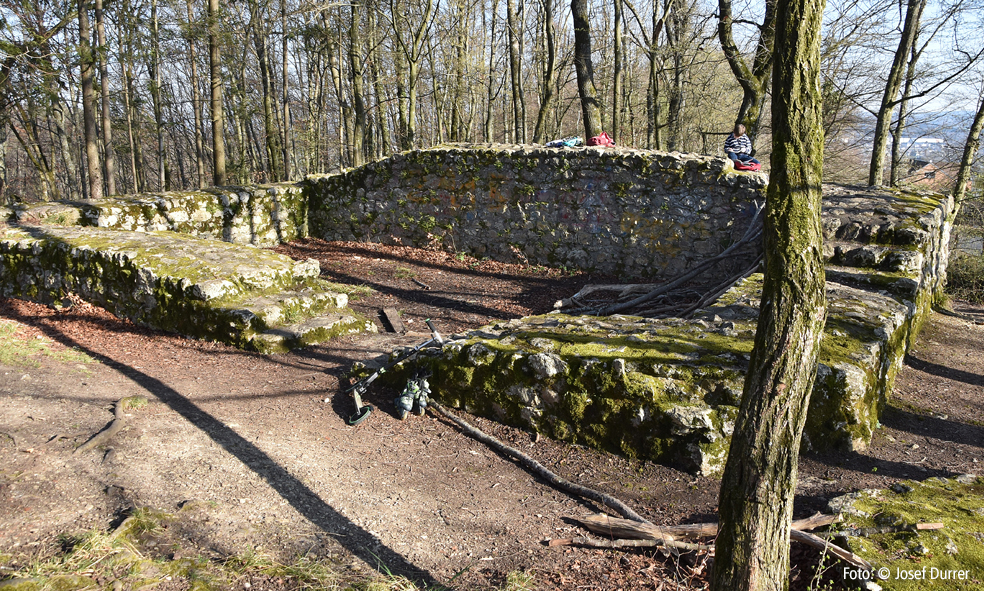 Ruine Horen