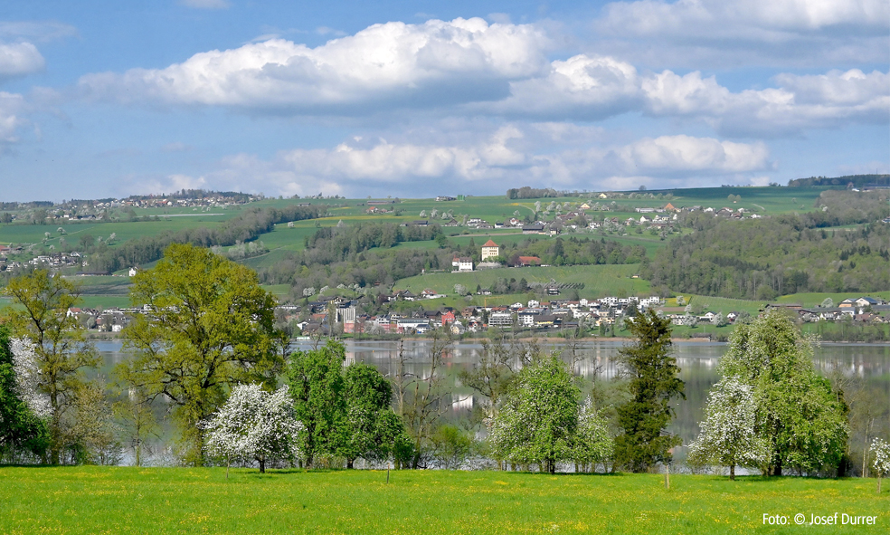 Seetal im Frühling